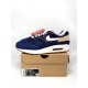 Nike Air Max 1 Denham CW7603-400