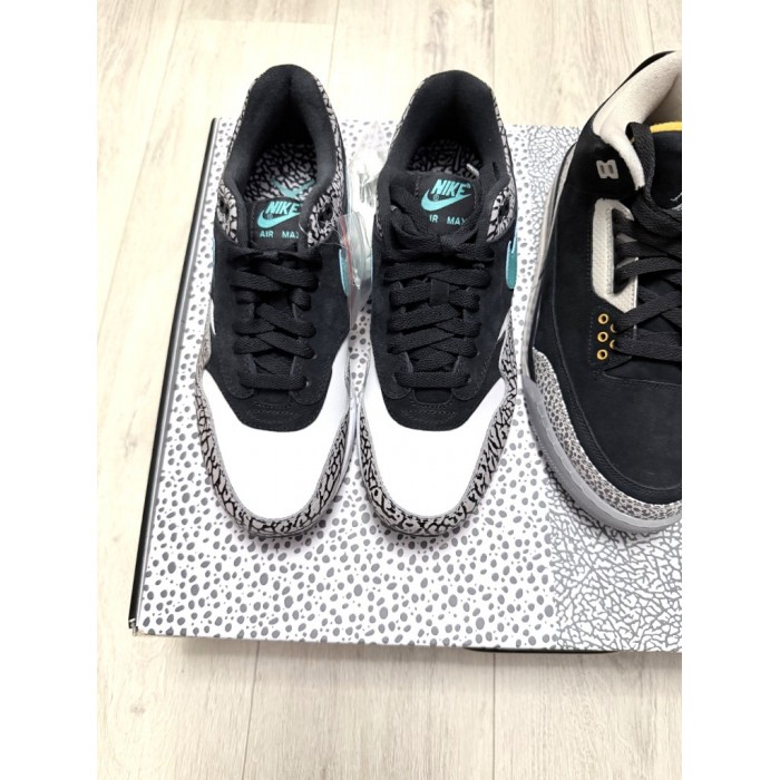 Nike Air Jordan 3 Retro & Nike Air Max 1 Atmos Pack